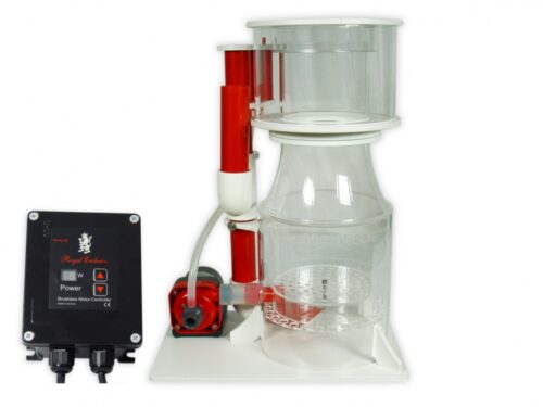 bubble king® deluxe 250 internal + rd3 speedy