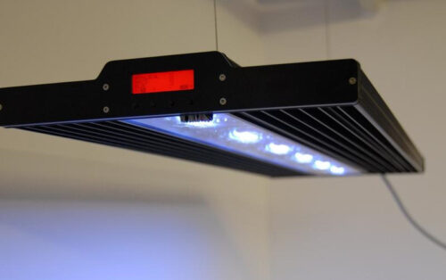vertex-lumina-gi